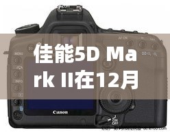 佳能5D Mark II进阶对焦设置指南，实时调整，清晰捕捉每一刻