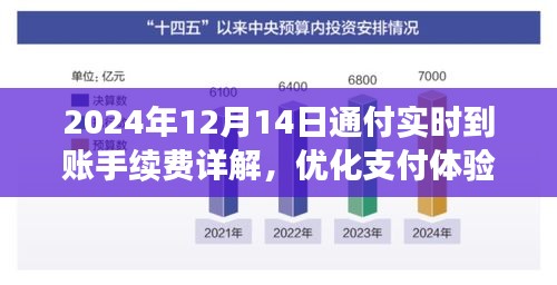 2024年通付实时到账手续费详解，支付体验优化与成本效益分析