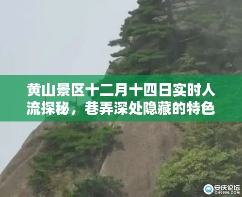 黄山景区实时人流探秘与巷弄深处特色小店奇遇揭秘