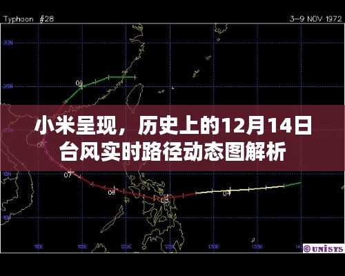 小米呈现，历史上的台风实时路径动态图解析——12月14日篇