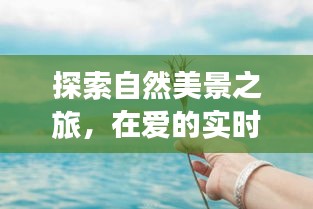 自然探索之旅，在爱的时光里寻找内心的宁静与平和