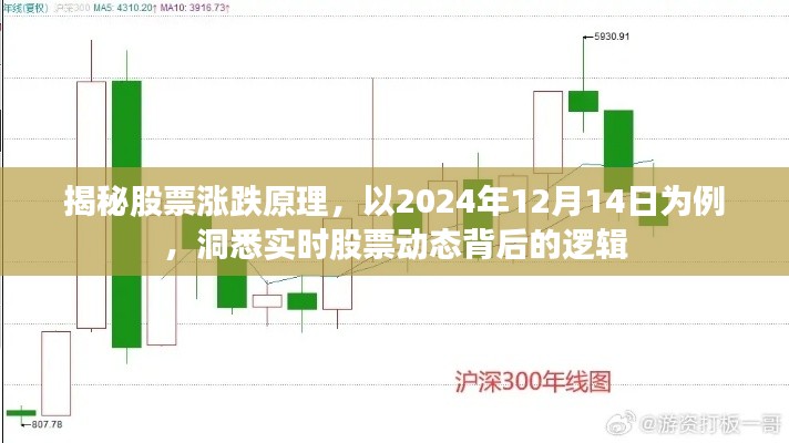 洞悉股票涨跌背后的逻辑，以实时动态解析股票市场的秘密（以2024年12月14日为例）