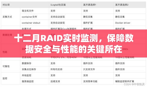 十二月RAID实时监测，数据保障与性能优化的核心枢纽