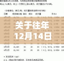 往年12月14日返乡登记表填写指南，步骤与注意事项