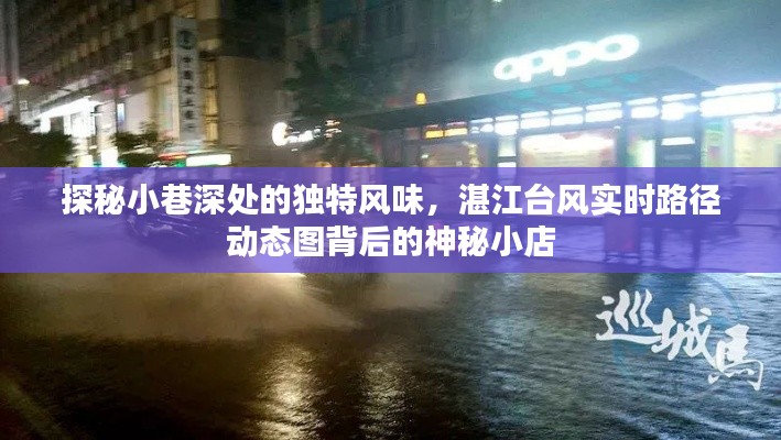 探秘小巷深处的独特风味，神秘小店背后的湛江台风实时路径动态图揭秘