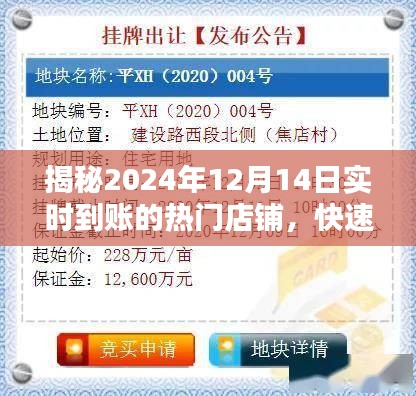 揭秘，热门店铺实时到账，收款不再等待！