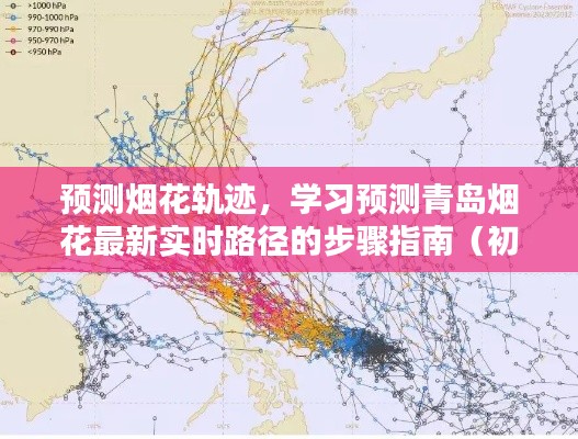 预测烟花轨迹的步骤指南，从初学者到进阶用户如何学习预测青岛烟花最新实时路径