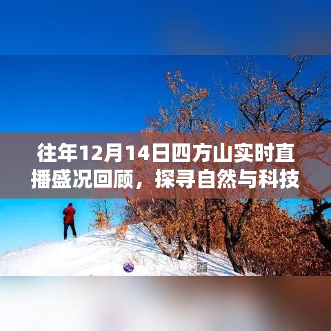 往年12月14日四方山直播盛况回顾，自然与科技的和谐融合之旅