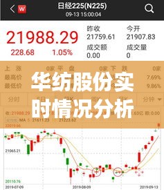 华纺股份最新业绩分析，聚焦实时动态与未来挑战（12月14日）