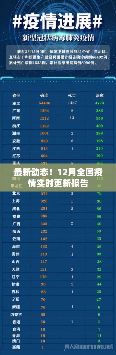 最新动态，全国疫情实时更新报告（12月版）