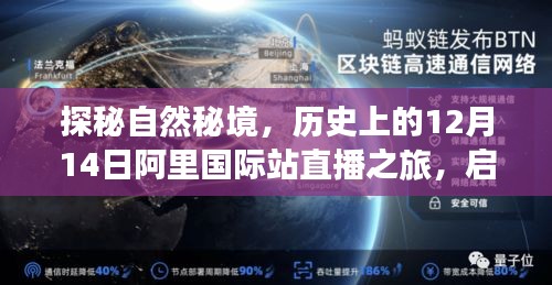 探秘自然秘境，阿里国际站直播启程寻找心灵绿洲的宁静之旅