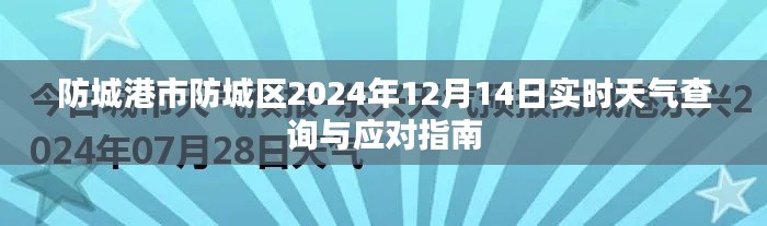 2024年12月16日 第28页