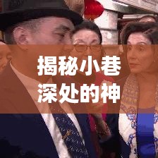 小巷深处的神秘宝藏揭秘，佩洛西实时跟踪地图下载之旅