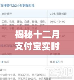 揭秘看守所内支付宝实时到账的特殊应用，功能、挑战与前景展望