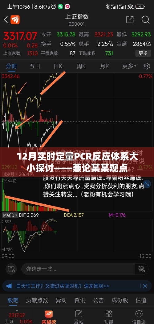 探讨实时定量PCR反应体系大小，某某观点下的研究分析