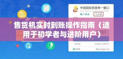 售货机实时到账操作指南，初学者与进阶用户必备指南