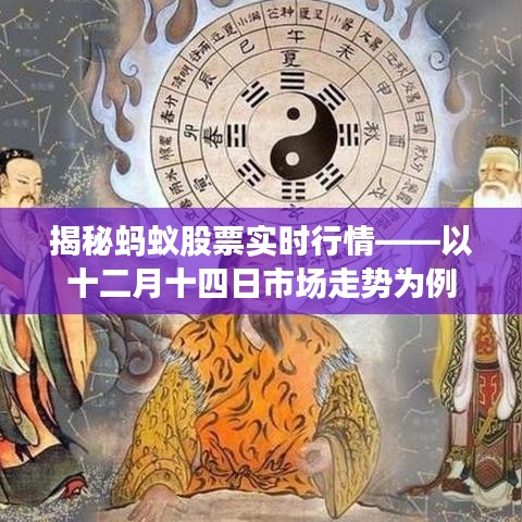 揭秘蚂蚁股票实时行情，十二月十四日市场走势分析