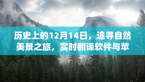 追寻自然美景之旅，历史上的12月14日与实时翻译软件的韩语奇缘