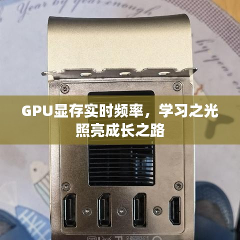 GPU显存实时频率，学习之光引领成长之路