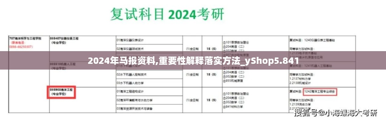 2024年马报资料,重要性解释落实方法_yShop5.841