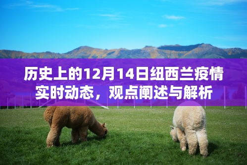 纽西兰疫情动态，历史视角下的12月14日深度解析与观点阐述