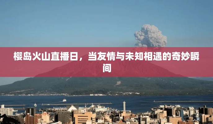 樱岛火山直播日，友情与未知的奇妙交汇