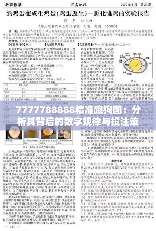 7777788888精准跑狗图：分析其背后的数字规律与投注策略