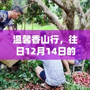 温馨香山行，家庭欢聚的美好时光——12月14日回忆