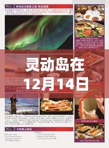 灵动岛12月14日实时活动展现深度解析与观点阐述