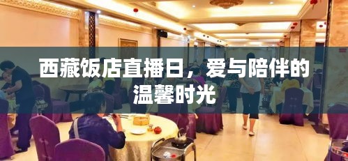 西藏饭店直播日，爱与陪伴的温馨时光盛宴