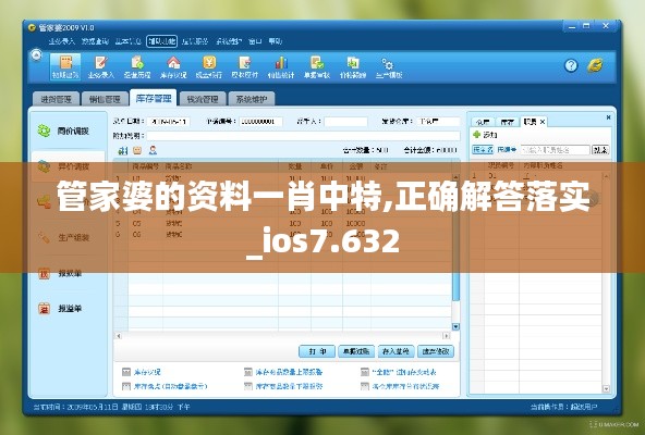 管家婆的资料一肖中特,正确解答落实_ios7.632