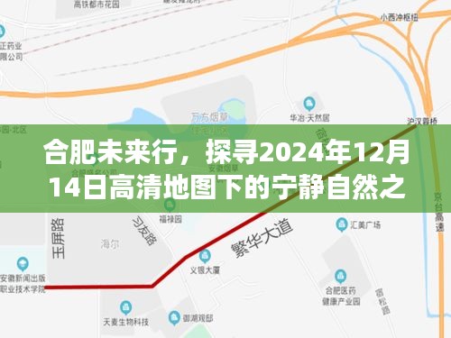 合肥未来行，高清地图下的宁静自然之旅（探寻2024年12月14日）