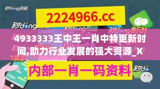 4933333王中王一肖中特更新时间,助力行业发展的强大资源_XP12.896