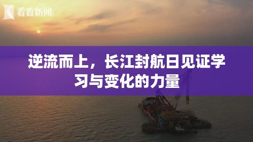 长江封航日，见证逆流而上的学习与变革力量