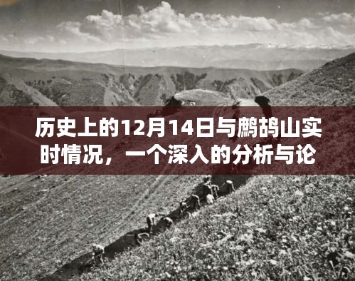 建议，历史上的12月14日与鹧鸪山实时情况，深度分析与论述