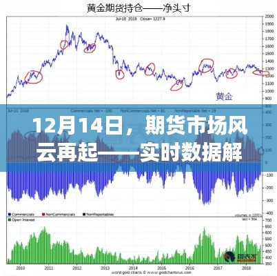 12月14日期货市场风云再起，实时数据解析与市场深度洞察