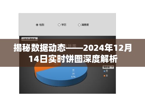 揭秘数据动态，深度解析实时饼图数据报告（2024年12月14日）