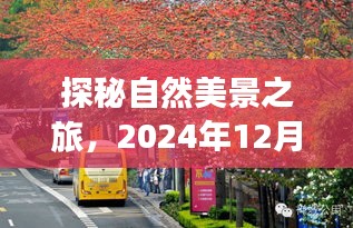 探秘自然美景之旅，与实时公交共舞于清新世界的美好时光（2024年12月14日）