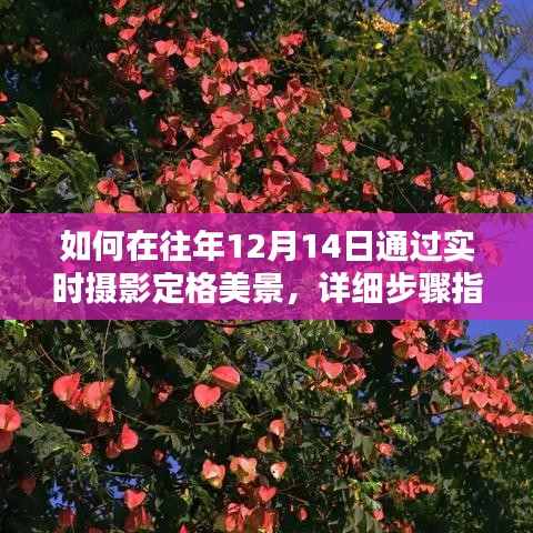 往年12月14日实时摄影定格美景攻略，详细步骤指南