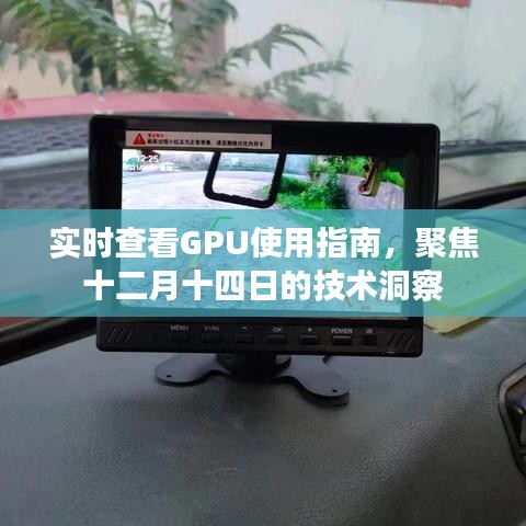 实时查看GPU使用指南，聚焦最新技术洞察（十二月十四日版）