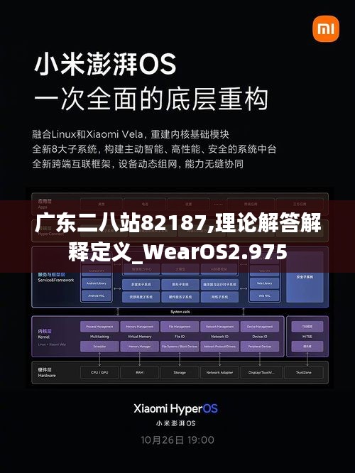 广东二八站82187,理论解答解释定义_WearOS2.975