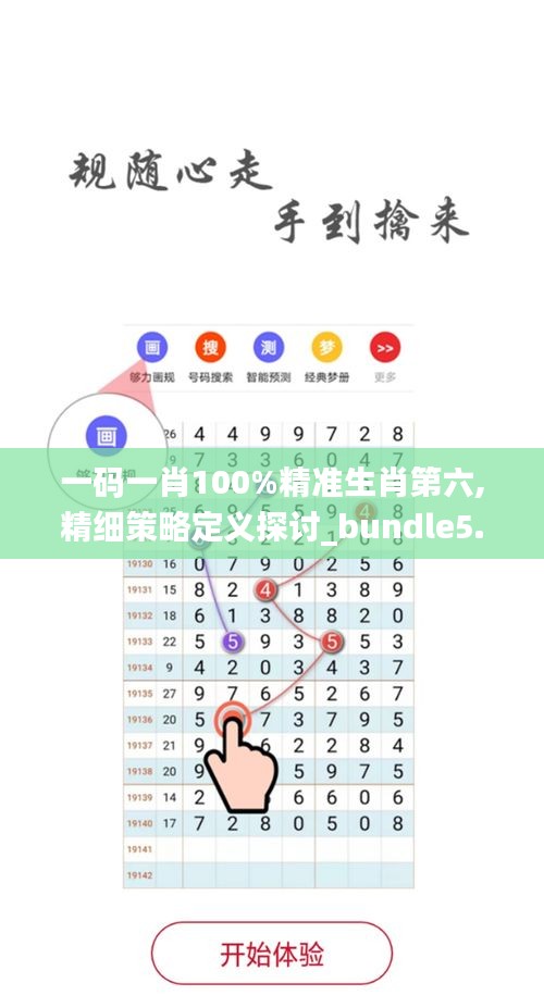 一码一肖100%精准生肖第六,精细策略定义探讨_bundle5.372