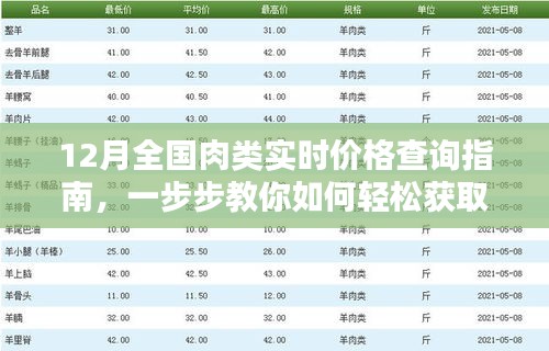 12月全国肉类实时价格查询指南，轻松获取最新肉价信息步骤详解