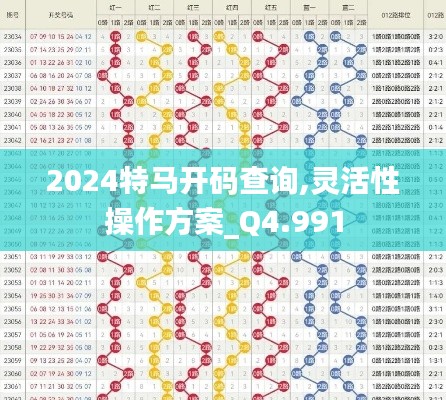 2024特马开码查询,灵活性操作方案_Q4.991