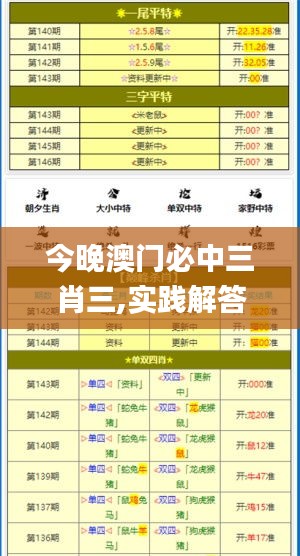 今晚澳门必中三肖三,实践解答解释定义_BT14.202