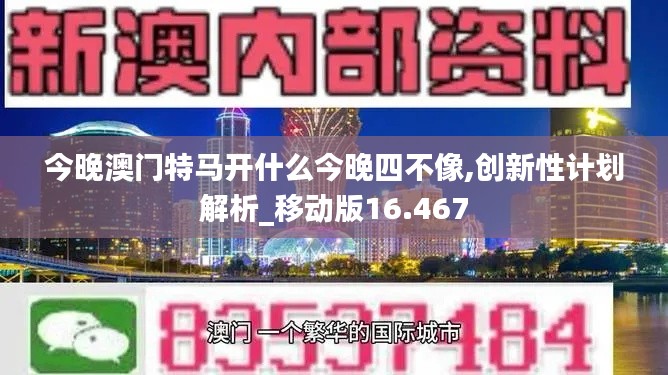 今晚澳门特马开什么今晚四不像,创新性计划解析_移动版16.467