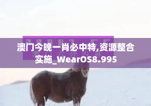 澳门今晚一肖必中特,资源整合实施_WearOS8.995