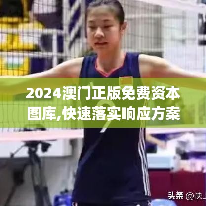 2024澳门正版免费资本图库,快速落实响应方案_钻石版1.552