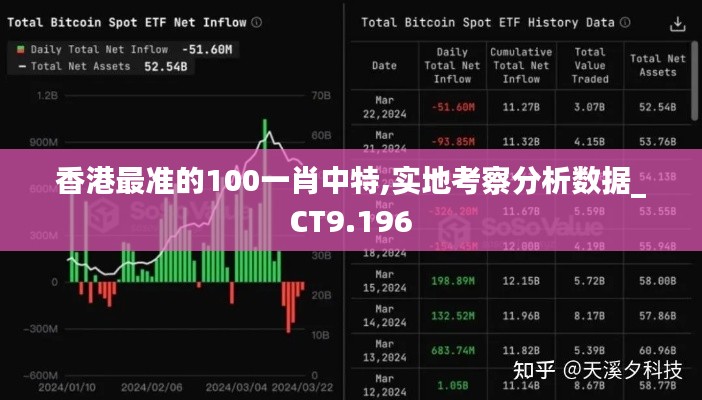 香港最准的100一肖中特,实地考察分析数据_CT9.196