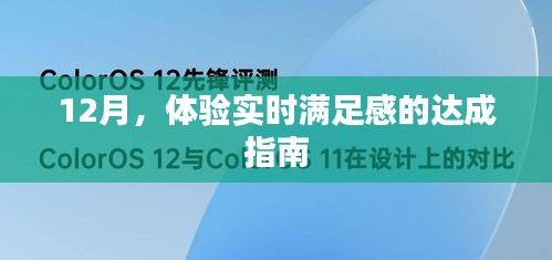 12月达成实时满足感的实践指南